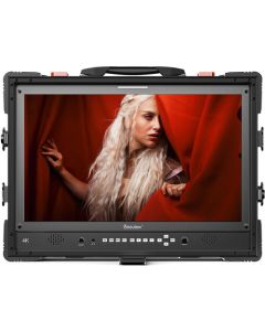 Desview D24-HDR 4K Professional Director Monitor