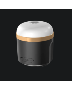 EcoFlow Black Camp Lights